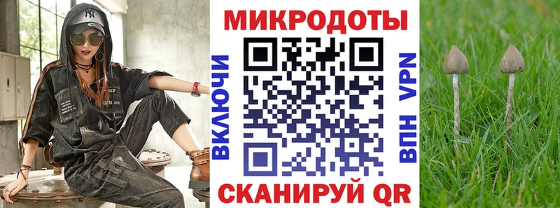 Купить  Омутнинск  Псилоцибиновые грибы Cubensis 